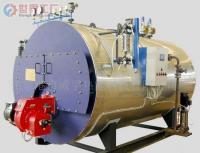 批發(fā)張家港威孚-WNS 0.15t/h燃?xì)獍l(fā)生器_機(jī)械及行業(yè)設(shè)備_世界工廠網(wǎng)中國產(chǎn)品信息庫